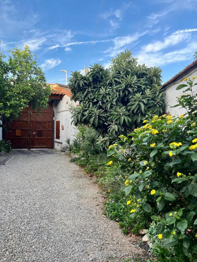 Casa Di Rosy Apartment San Sperate Exterior photo